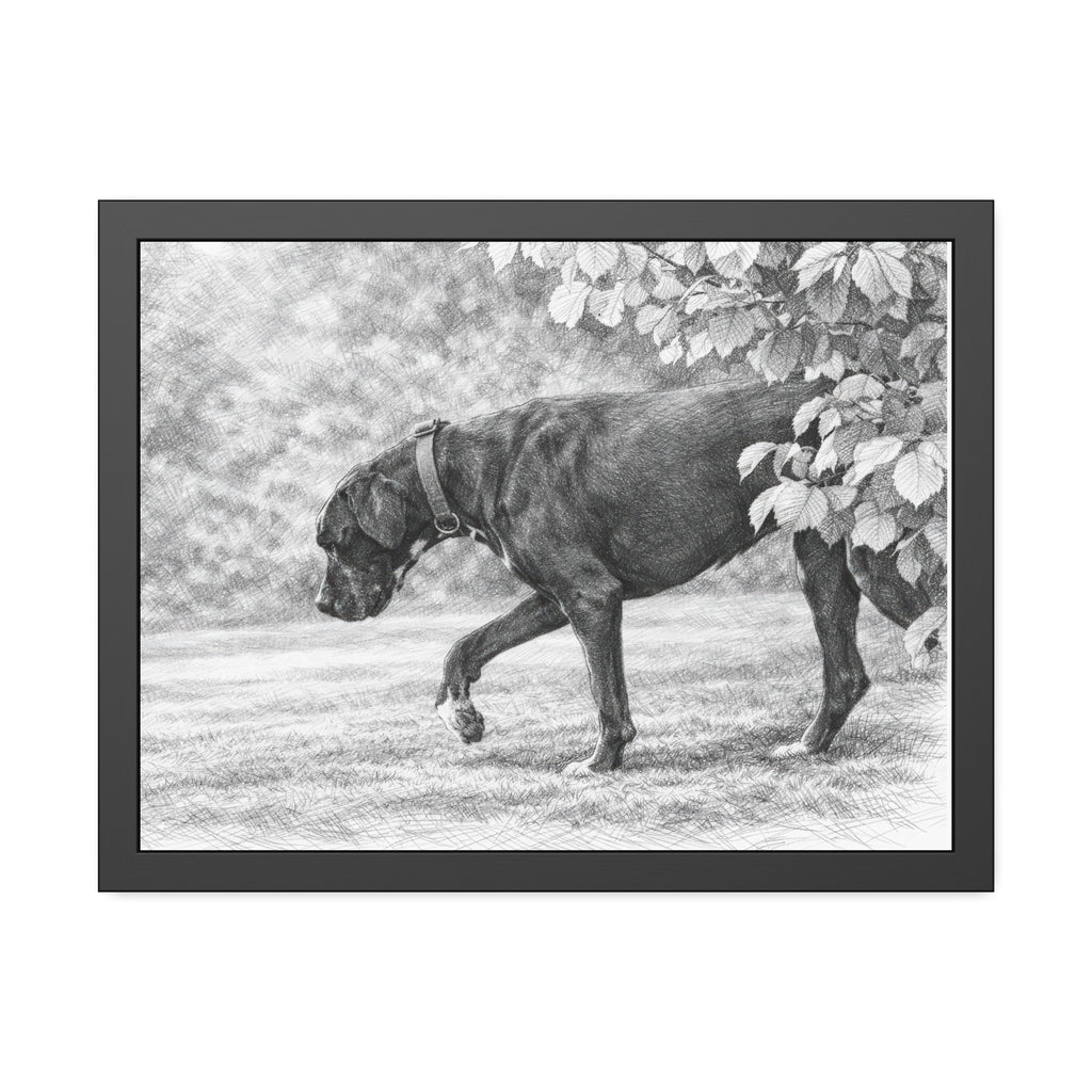 Framed Poster — Charcoal Dog Illustration Wall Art