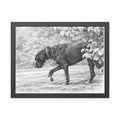 Framed Poster — Charcoal Dog Illustration Wall Art