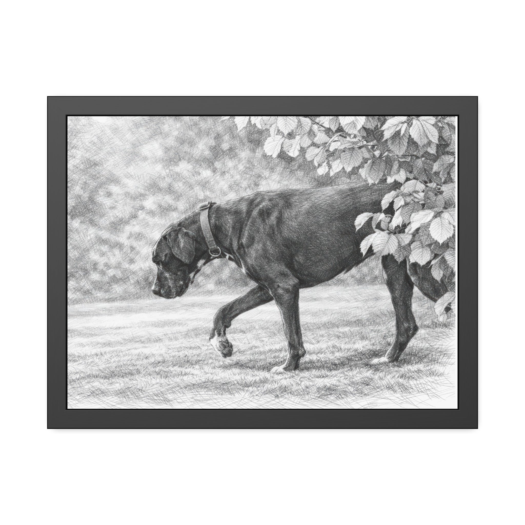 Framed Poster — Charcoal Dog Illustration Wall Art