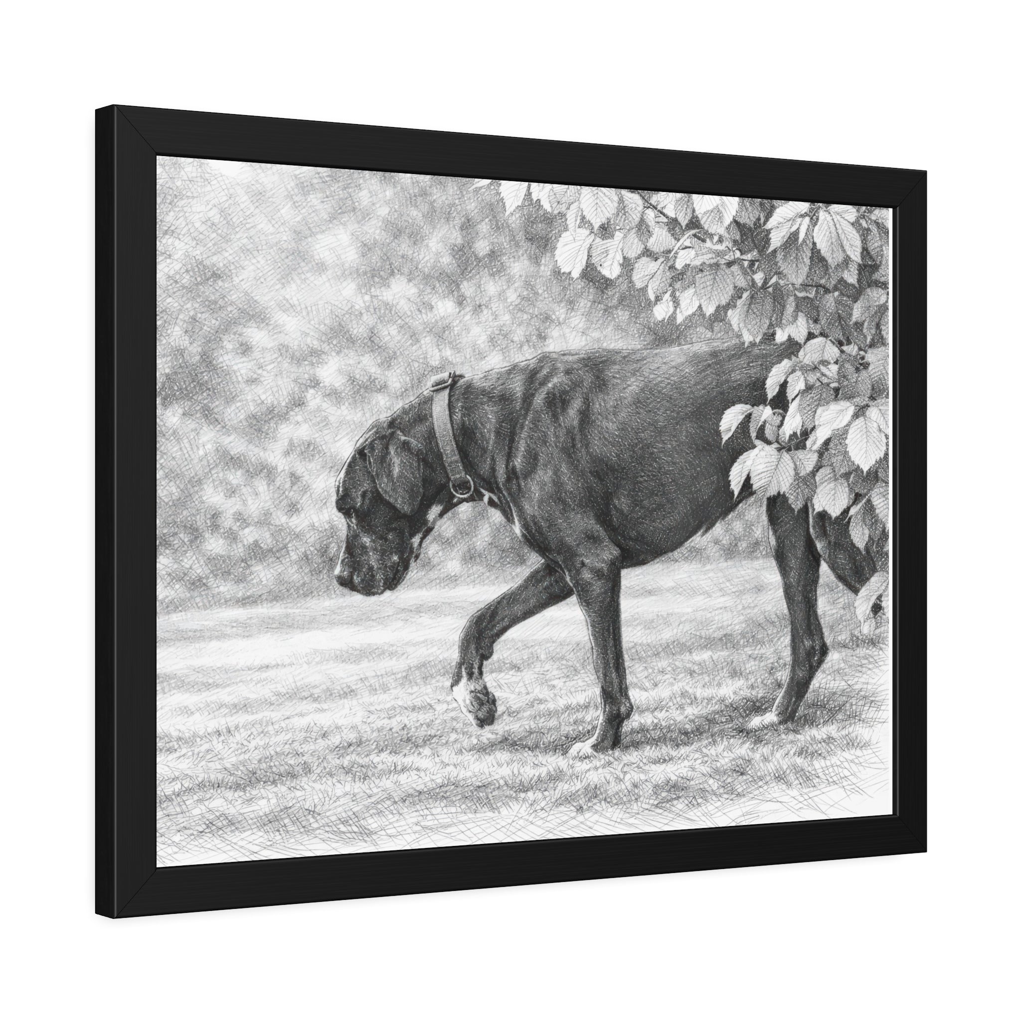 Framed Poster — Charcoal Dog Illustration Wall Art